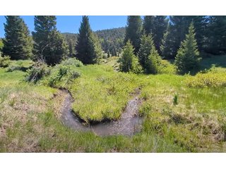 3119 Segal Pl Fort Garland, CO 81133