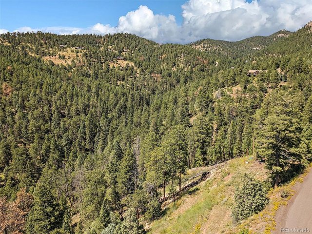 Property Photo 7 Featuring towering Ponderosa Pines