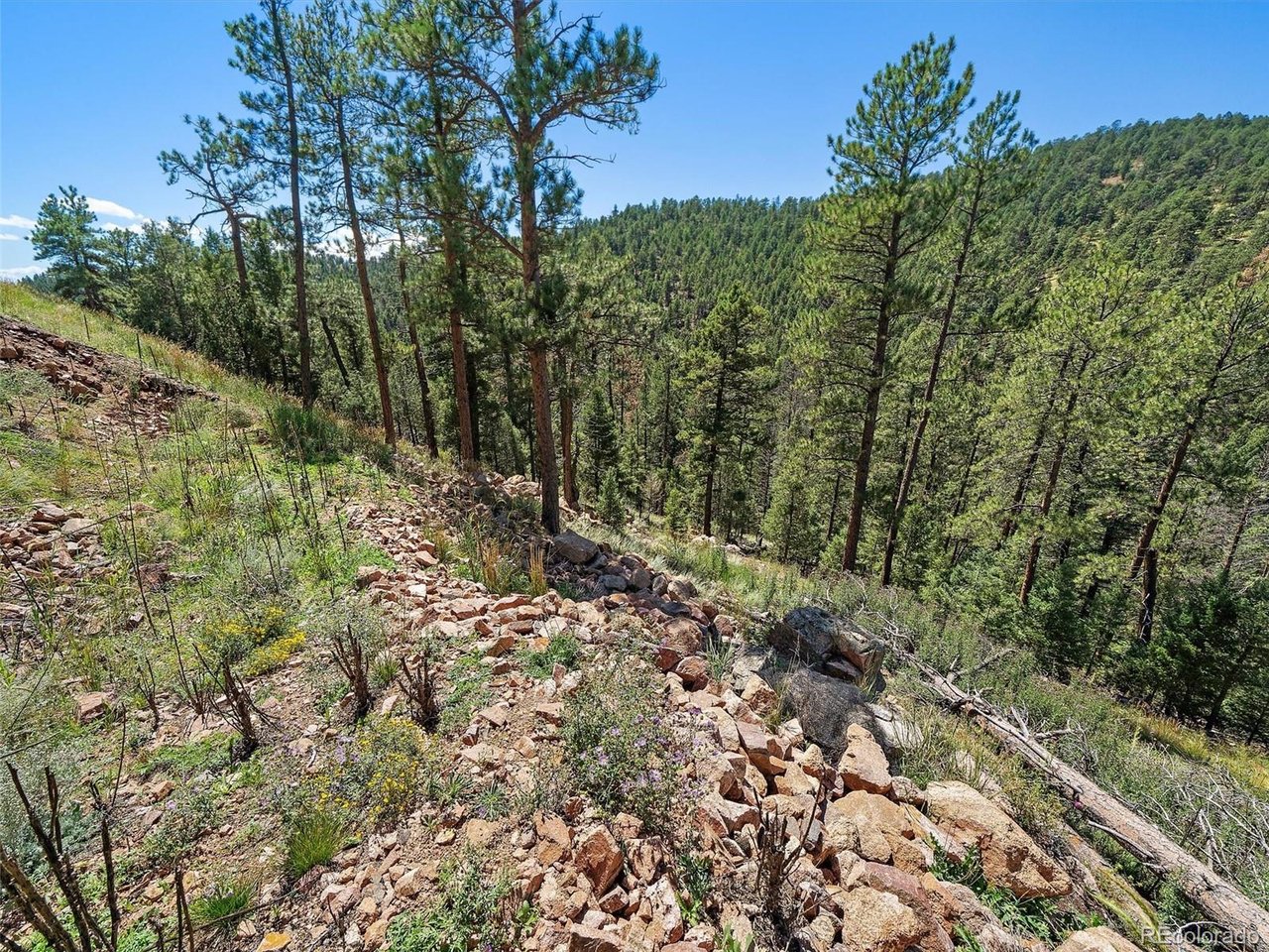 Property Photo 15 