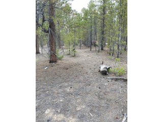 340 Peak View Dr Twin Lakes, CO 80461