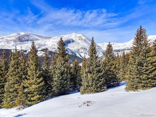 58969 Highway 9 Alma, CO 80420