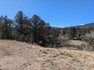 261 Appleby St Bailey, CO 80421