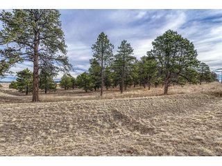 16511 Early Light Dr Colorado Springs, CO 80908