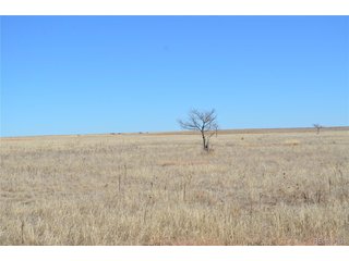 (TBD) County Road 11 Karval, CO 80823