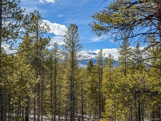 483 Mt Massive Rd Twin Lakes, CO 81251
