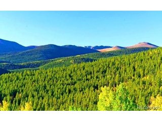 111 Swift Claim Rd Georgetown, CO 80444