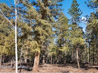 810 Ridge Rd Divide, CO 80814