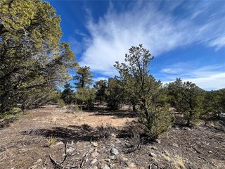 29274 Lakota Ln Buena Vista, CO 81211