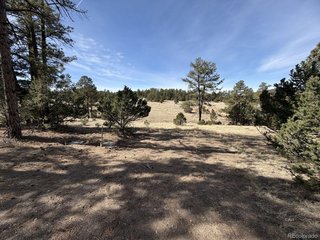 262 Harmon Dr Cotopaxi, CO 81223