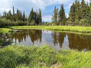111 Lake Rd Idaho Springs, CO 80452