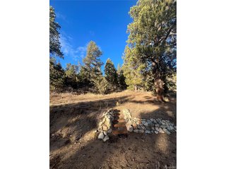 (TBD) Forbes Rd Fort Garland, CO 81133