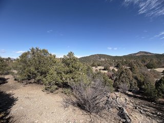 91 King Pl Cotopaxi, CO 81223