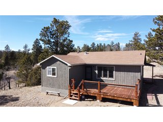 1651 Aspen Trl Hartsel, CO 80449