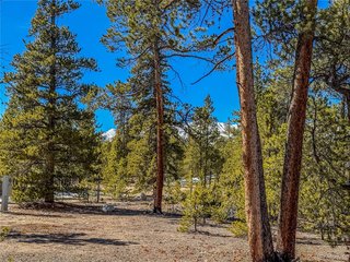 199 Cedar Dr Twin Lakes, CO 81251