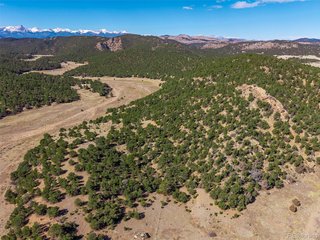 710 Mc Clure Gulch Rd Cotopaxi, CO 81223