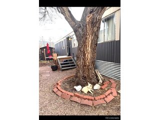 910 J St C7 Salida, CO 81201