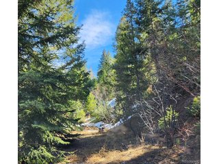 10151 Coronado Cir Morrison, CO 80465