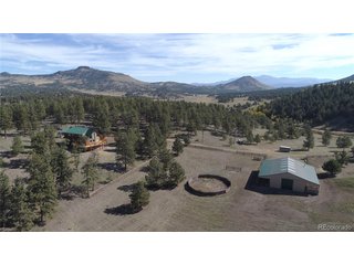 1321 Bristlecone Rd Guffey, CO 80820