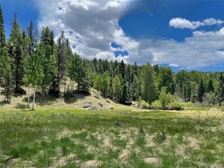 458 Arrowhead Rd Florissant, CO 80816