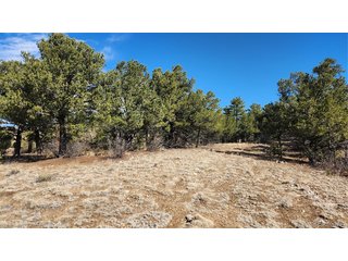 (TBD) I Path Cotopaxi, CO 81223