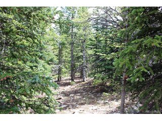 5285 Lucy Agnes Black Hawk, CO 80422