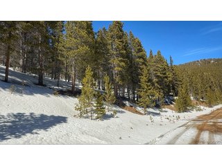 39 Glory Hole Rd Idaho Springs, CO 80452