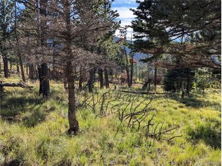 2127 Sigler Dr Fort Garland, CO 81133