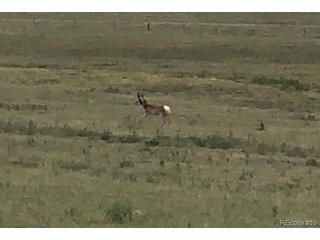 (TBD) TBD County Road 2 Atwood, CO 80722