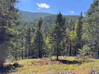 0 Blue Bell Ln Idaho Springs, CO 80452