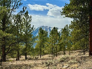 142 La Plata Peak Dr Twin Lakes, CO 81251