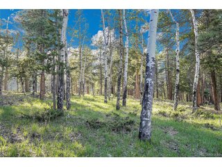(TBD) Molly Dr, Lot #3 Conifer, CO 80433