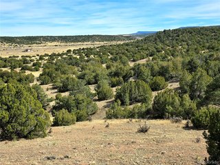21 Bat Masterson Dr Trinidad, CO 81082