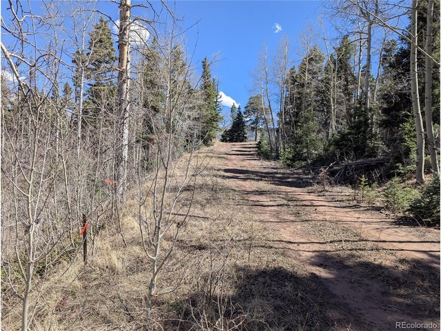 Property Photo 7 