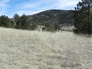 1087 Monarch Dr Cripple Creek, CO 80813