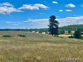 11726 CR 102 Elbert, CO 80116