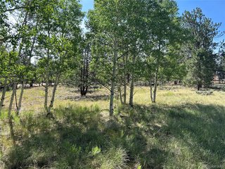519 Hayhook Way Hartsel, CO 80449