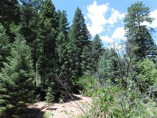 13175 Spruce Creek Cir Larkspur, CO 80118