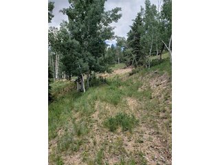 (TBD) 10th St Jasper, CO 81144