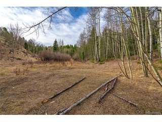 130 Grey Eagle Way Cripple Creek, CO 80813