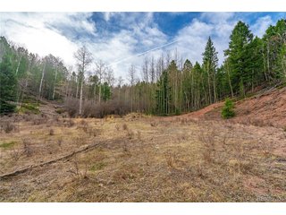 130 Grey Eagle Way Cripple Creek, CO 80813
