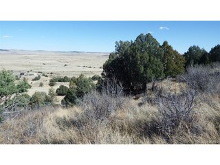 35584 Comanche Creek Rd Kiowa, CO 80117