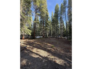 611 Silver Creek Rd Idaho Springs, CO 80452