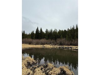 91 Lake Rd Idaho Springs, CO 80452
