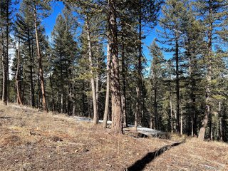 7871 Gold Rush Morrison, CO 80465