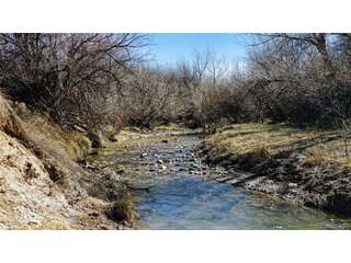 161 Colorado Land & Livestock Walsenburg, CO 81089