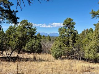 34999 Timber Park Dr Trinidad, CO 81082