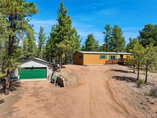 1299 Pikes Peak Dr Florissant, CO 80816