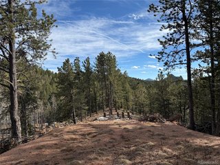 162 Eagle Dr Divide, CO 80813
