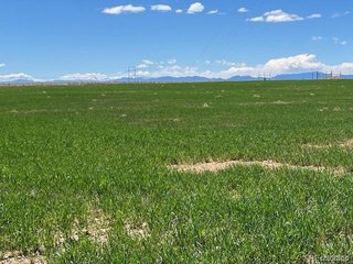 (TBD) TBD County Road 19 Fort Lupton, CO 80621