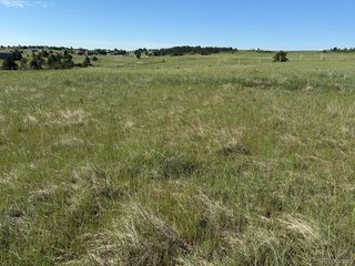 35501 Cheyenne Trl Elizabeth, CO 80107